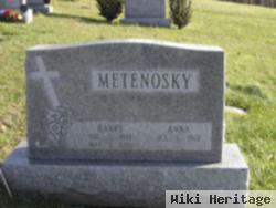 Harry Metenosky