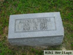 Allene G Tribble