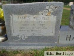 James Wilfred Haynie