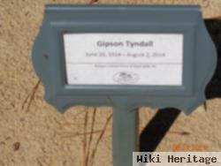 Gipson Tyndall