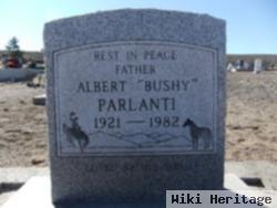 Albert Lawrence "bushy" Parlanti