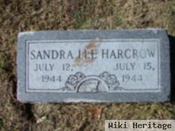 Sandra Lee Harcrow