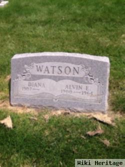 Alvin E Watson