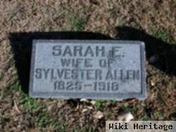 Sarah Elizabeth Hardesty Allen