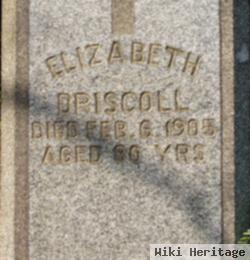 Elizabeth Driscoll