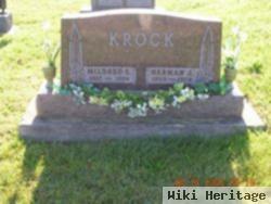 Herman J Krock