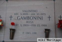 Rosa Zita Politta Gambonini