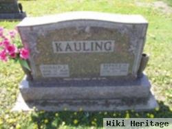 Donald J Kauling