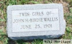 Twin Girls Wallis