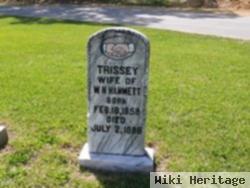 Trissey Griffith Hammett