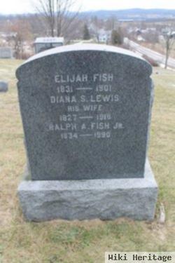 Diana S Lewis Fish