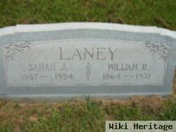 Sarah Jane Johnson Laney