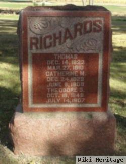 Theodore S Richards