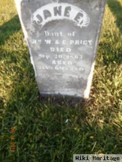 Jane E. Price