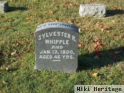 Sylvester R. Whipple