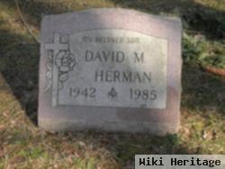 David M. Herman