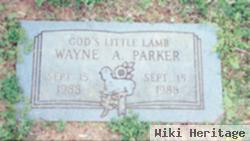 Wayne A Parker