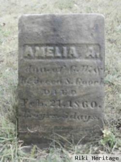 Amelia A. Gooch