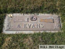 Mary Ellen Evans