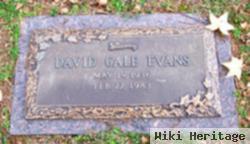 David Gale Evans