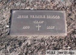 Jessie Trimble "gran" Castle Briggs