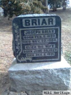 Eliza Smith Briar