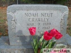 Noah Newt Crawley