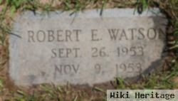 Robert Edwin Watson