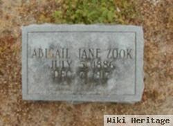 Abigail Jane "nancy" Wisel Zook