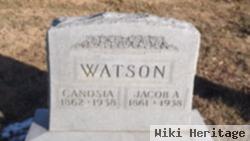 Jacob A. Watson