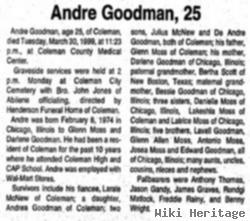 Andre Myron Goodman