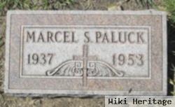 Marcel S. Paluck