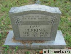 Opsy Perkins