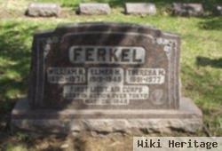 William H Ferkel