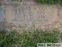 Thomas A Cox