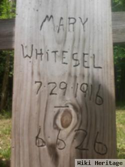 Mary Whitesel