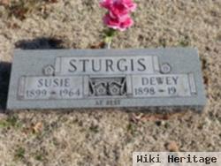 Susie Williams Sturgis