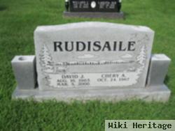 David J Rudisaile