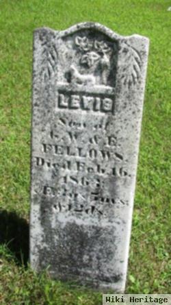 Lewis Fellows