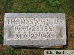 Thomas Austin Mcnees