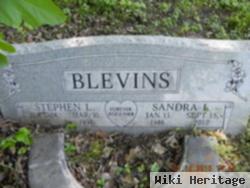 Stephen L Blevins