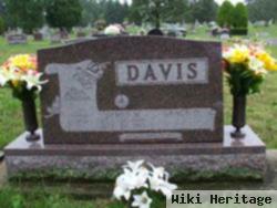 James M Davis