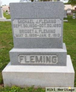 Michael J Fleming