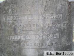 Fanny B. Brewster Winchester