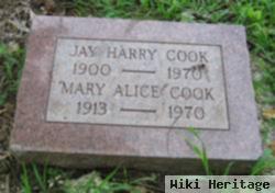 Jay Harry Cook