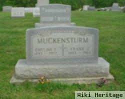 Frank J Muckensturm