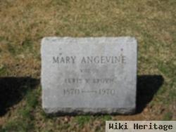 Mary Angevine Brown