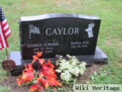 George Ellwood Caylor