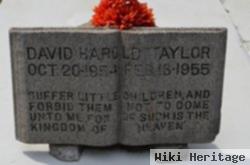 David Harold Taylor