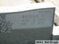 Rosina Ann Pichon Gassen